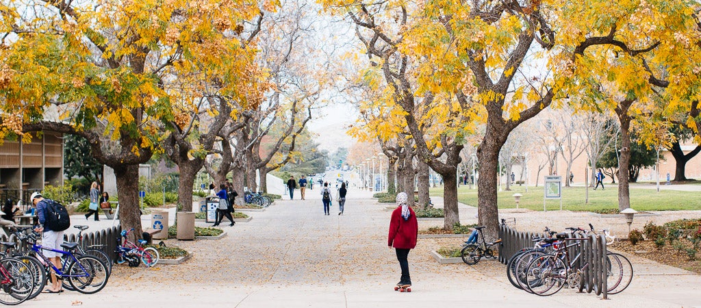 UCR students make their way from class to class along the tree-lined walkway in front of Hinderaker Hall. 